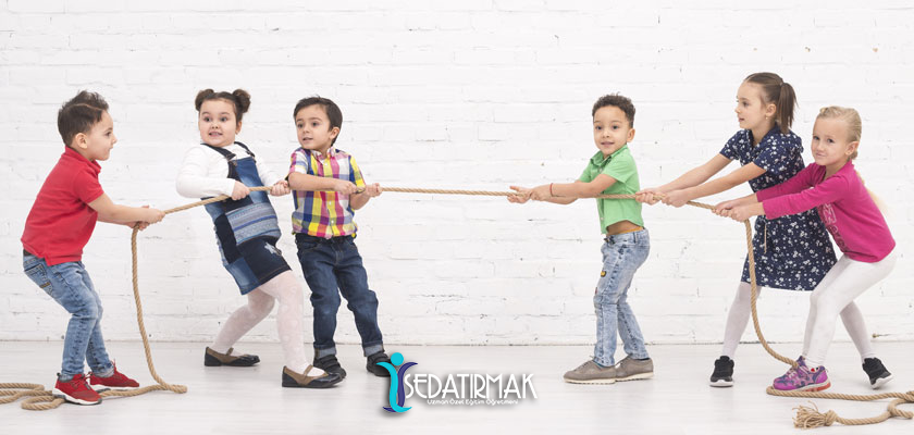 Farklı Gelişim Özellikleri Gösteren Çocuklar İçin Gelişimsel Değerlendirme ve Erken Müdahale Yaklaşımları