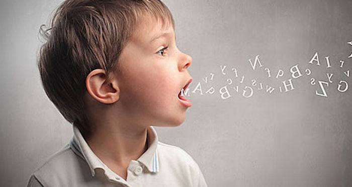 Diyarbakır Gecikmiş Dil Uzmanı